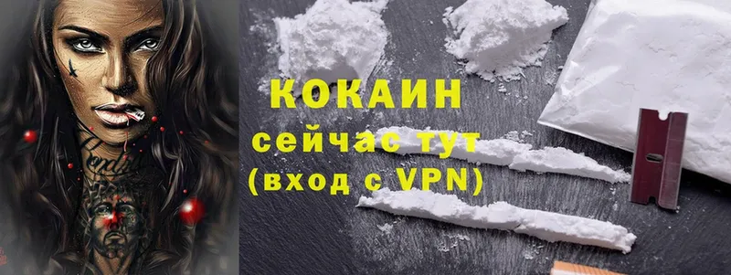 закладка  Лаишево  Cocaine FishScale 