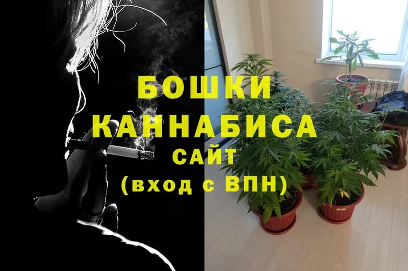 Бошки Шишки White Widow  Лаишево 